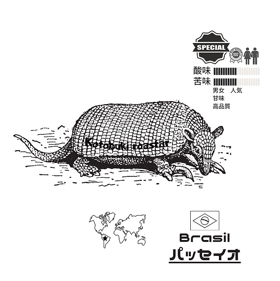 ブラジル　パッセイオ　100g
