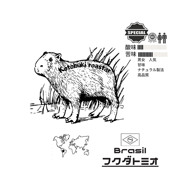 ブラジル　フクダトミオ　100g