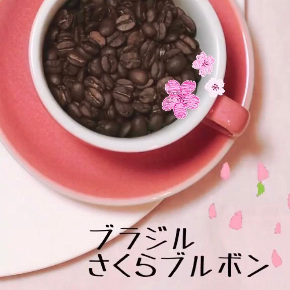 【ニュークロップ】ブラジル さくらブルボン