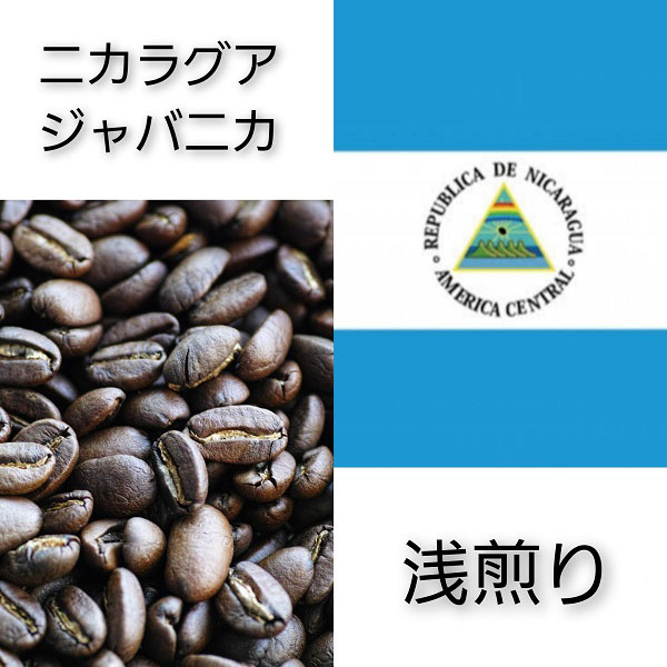 【送料無料】【ニカラグア】ジャバニカ【浅煎り】100g／200g