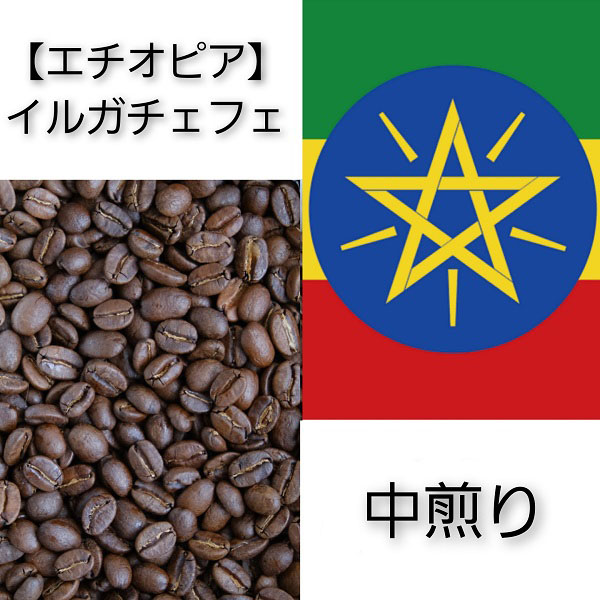 【送料無料】【エチオピア】イルガチェフェ【中煎り】100g／200g
