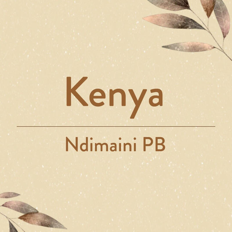Kenya Ndimaini PB　ケニア　ンディマイニ　ピーベリー　浅煎り