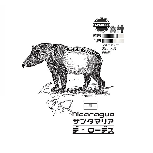 ニカラグア　サンタマリア　デ・ローデス　100g