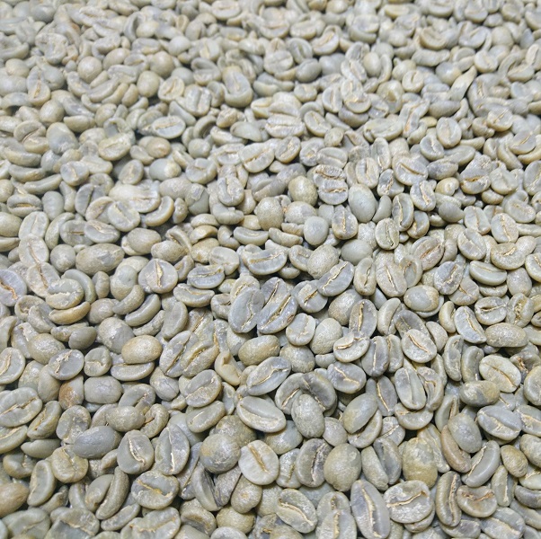 エルサルバドルSHG　ジュリア　Qグレード　生豆　４００／８００ｇ