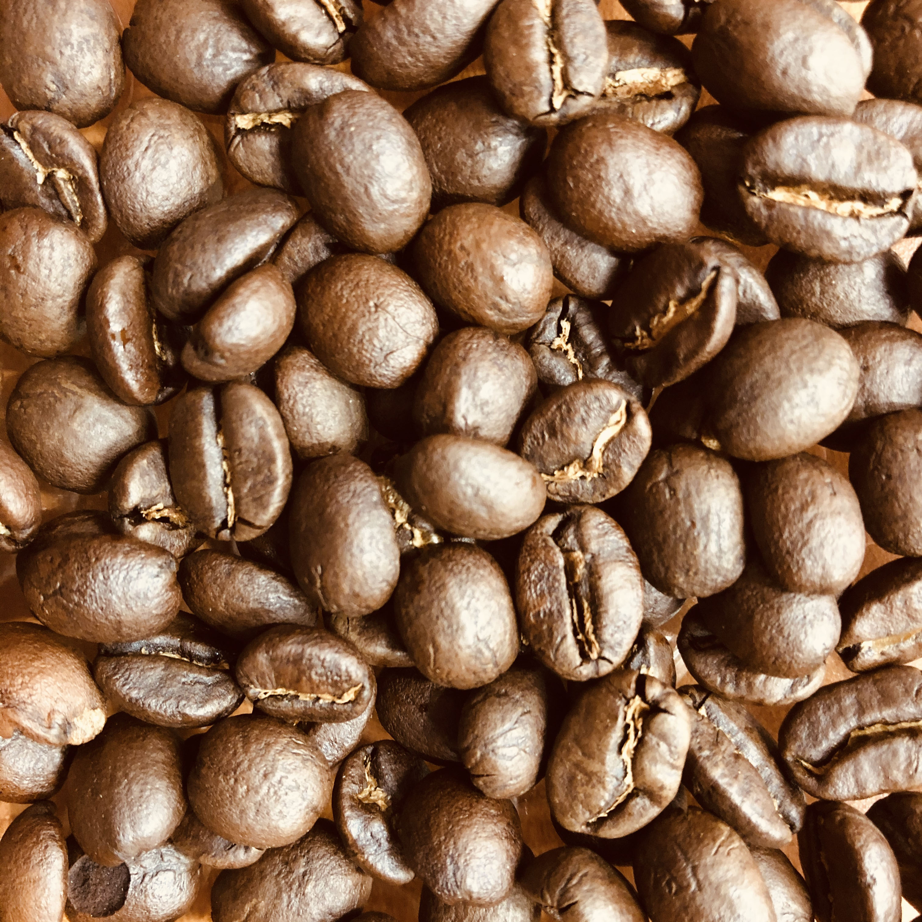 【本州送料無料】ケニア/kenya　200g/400g