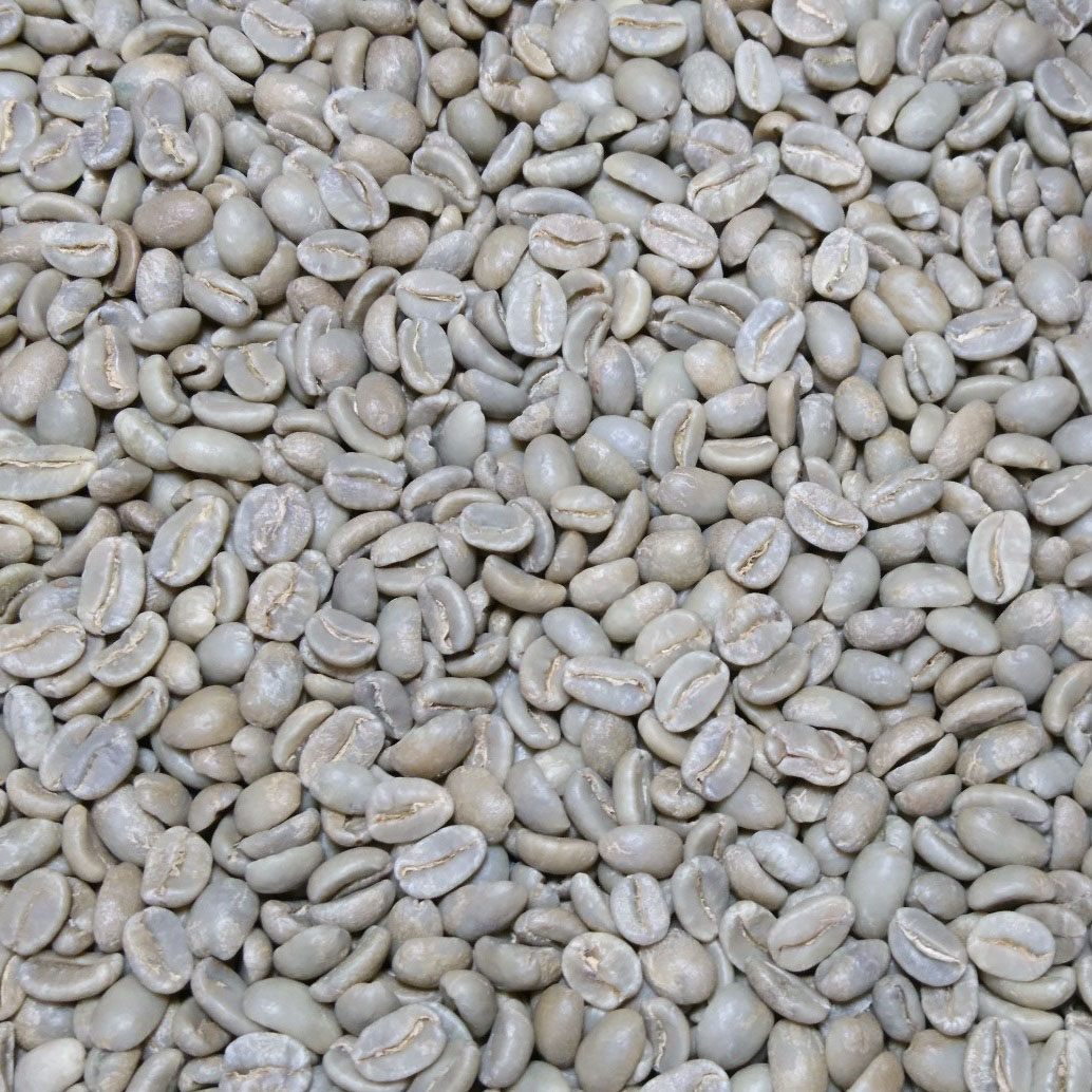 トラジャ（ランテカルア）　生豆　４００／８００ｇ