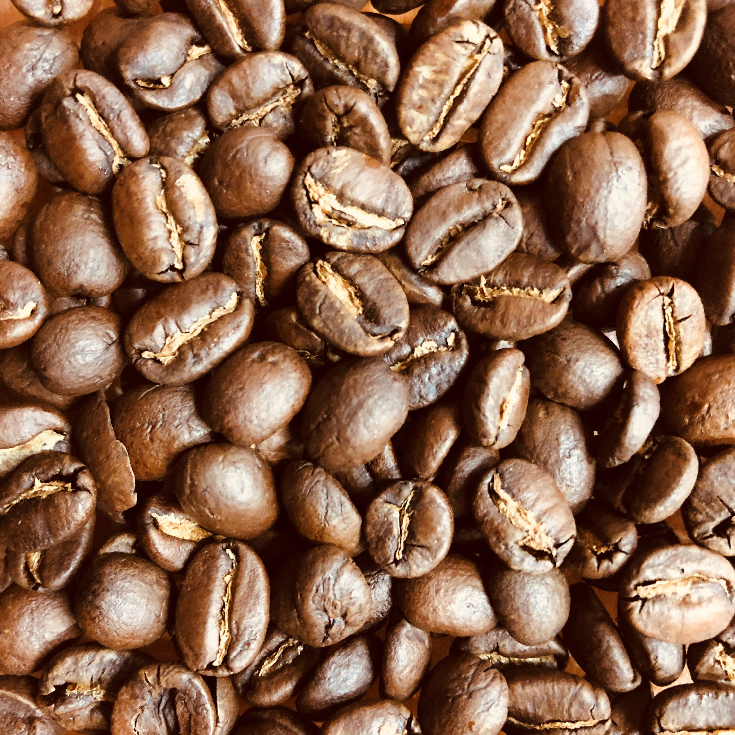 【本州送料無料】タンザニア/tanzania　200g/400g
