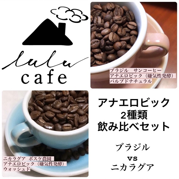【アナエロビック 2種類飲み比べセット 数量限定】コーヒー豆/ブラジル サンコーヒー アナエロビック パルプドナチュラル ＆ ニカラグア ボスケ農園 アナエロビック ウォッシュド