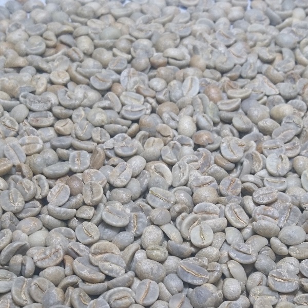 ブラジル ブルボン（BRAZIL BOURBON)　Qグレード　生豆　日陰干し　４００／８００ｇ